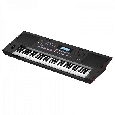 Синтезатор с автоаккомпанементом Roland E-X50